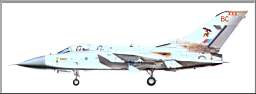 Panavia_Tornado_F_Mk3_ZE295_'BC'.jpg